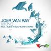 Viking (Original Mix) - Joer van Ray