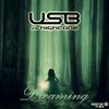 Dreaming(feat. High Code) - U.S.B.&High Code