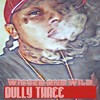 Wicced and Wild (Explicit) - Bully Three