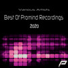 Presence (Original Mix) - Parsa Q&NZE&Nastaran Sadeghi