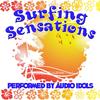 Surfin' Bird - Audio Idols