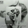 O Amor Me Trouxe Você - DJ GH Sheik