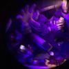 Keeper (Explicit) - KAGE E
