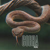 Cobra - Nene