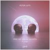 One Of These Nights - Peter Luts&Forêt