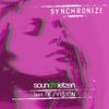 Synchronize (MaBose Extended Mix) - Soundmietzen&De/Vision