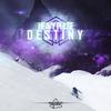 Destiny - Heavy Pulse