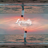 Gravity (feat. Dion) - Traila $ong&DION