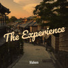 The Experience (Explicit) - Mahem&Strainj