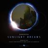 Sunlight Dreams (Travis MacDonald Remix) - Daraspa
