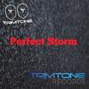 Perfect Storm (Tuff Dubs Mix) - Trimtone