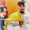 A gemella - Savvo Zauddo