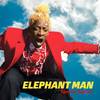 Sidung - Elephant Man&Lady Saw