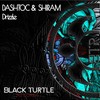 Windy Days - Dashtoc&Shiram