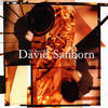 Lotus Blossom (Album Version) - David Sanborn