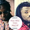 You Are Too Much(feat. Dami) - Deezi&Dami