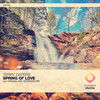 Spring of Love (Extended Mix) - Terry Gaters