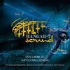 Flying Bulls Anthem - Blacky S. Maximum Gravity Version - Harold Faltermeyer&Steve Stevens
