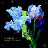 Where Do We Go From Here? - Kadosh (IL)