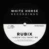 I Know You Want Me (Original Mix) - Rubix