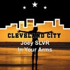 In Your Arms - Joey SLVR