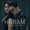 Haram - Hael Husaini&Dayang Nurfaizah