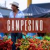 CAMPESINO (Explicit) - Apiasere