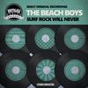 Ten Little Indians - The Beach Boys