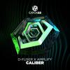 Caliber - D-Fuser&Amplify