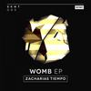 Didactic (Original Mix) - Zacharias Tiempo