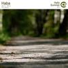 Hello Summer - Haba