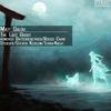 The Last Ghost (Steven Keblow Remix) - Matt Salou