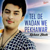 Tel De Wadan We Pekhawar - Rehan Shah