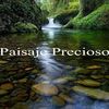 Sonidos de las Aves - Relaxing Music