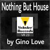 Nothing But House (Original Mix) - Gino Love