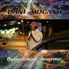 Bucurestiul doarme - Dani Mocanu
