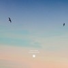 Sequential - Basicnoise