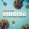 Shining (feat. Easy McCoy & Lauu Beatz) - Formation Sound&Easy MCcoy&Lauu Beatz