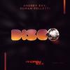 Disco (Extended Mix) - Andrey Exx&Andrey Davydenko&Romain Pelletti