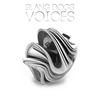 Voices (Original Mix) - Slang Dogs