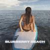 Blueberry Beach(feat. SMLE, Protostar, PLÜM, KREAM, Kasbo, Attom & pluko) - KAYMC&smle&Protostar&PLÜM&KREAM&Kasbo&Attom&pluko