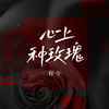 心上种玫瑰 - 程今