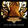 Eye of the Tiger - Bonfire