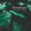 Raindrops - Peter O.