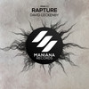 Rapture - Dave Leck