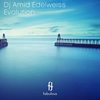 Evolution (Original Mix) - Dj Amid Edelweiss