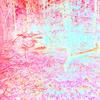 Temple of Chaos_ (()(Daniel Brooks Remix)()) - Frugivore&Daniel Brooks