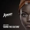 Sound The Culture (Original Mix) - Jose Vilches