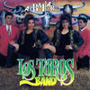 Andrea - Los Toros Band