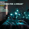 Looking For A Dream (Diego Astaiza Remix) - Oz-E&Diego Astaiza